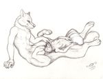  2014 anthro balls big_balls canine chewtoy cock_transformation conjoined female fusion hyper hyper_balls male mammal merged paws pen_(artwork) penis rugertaur taur traditional_media_(artwork) what wolf 