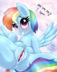  2014 anus blue_fur blush dialogue dock english_text equine female feral friendship_is_magic fur grin hair joakaha looking_at_viewer mammal multicolored_hair my_little_pony pegasus pink_eyes pussy rainbow_dash_(mlp) rainbow_hair rainbow_tail smile solo spread_legs spreading teats text wings 