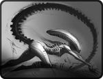  alien alien_(franchise) alpha_channel butt edit female greyscale monochrome raised_tail solo unknown_artist xenomorph 