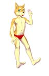  anthro canine clothing condom cub dog male mammal sceptile_(artist) shiba_inu solo underwear young 