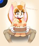  breasts cake dialogue female food food_porn looking_at_viewer marthedog nipples pussy sega sitting solo sonic_(series) text vanilla_the_rabbit 