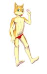  anthro canine clothing condom cub dog male mammal penis sceptile_(artist) shiba_inu solo underwear undressing young 