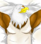  2014 anthro arm_above_head avian biceps big_muscles bird chubby eagle fur male musclegut muscles nihaw one_eye_closed solo white_fur 