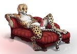  2014 animal_genitalia anthro balls barbs cheetah claws erection feline feline_penis fur fuzzy gradient_background green_eyes hair inviting karukuji lying male mammal nude penis precum sheath short_hair sofa solo spots spreading white_fur yellow_fur 