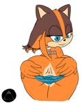  2014 alpha_channel anthro anus badger bluelimelight butt clothing female looking_at_viewer mammal mustelid sega smile solo sonic_(series) sticks_the_jungle_badger underwear 