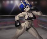  abs big_breasts blue_hair boxer boxing_gloves breasts canine cleavage clothed clothing dclzexon dog female fighting_ring green_eyes hair horn husky hybrid mammal muscles muscular_female panties solo standing underwear wynter 