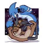  anthro avian bird blue_jay cartoon_network digital_media_(artwork) duo male mammal mordecai_(regular_show) raccoon regular_show rigby_(regular_show) thedoggygal 