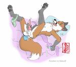  anal anal_insertion anal_masturbation anal_penetration animal_genitalia anthro balls bed blush briefs canine canine_penis claws clothing cum cum_on_self cum_while_penetrated cumshot digitigrade dildo erection eyes_closed fennec_(artist) fox green_eyes insertion knot legs_up lube lying male mammal masturbation nipples on_back open_mouth orgasm paws penetration penis perineum sex_toy solo spread_legs spreading tongue tongue_out underwear underwear_around_one_leg 