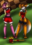  aakashi amy_rose anthro duo female gender_transformation male miles_prower sega sonic_(series) transformation 