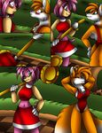  aakashi amy_rose anthro duo female miles_prower sega sonic_(series) transformation 