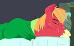  big_macintosh_(mlp) blonde_hair cum cumstain drooling equine erection eyes_closed freckles friendship_is_magic hair hooves horse hoverrover male mammal my_little_pony penis pony saliva sleeping solo wet_dream 