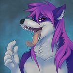  anthro canine fox gaping_mouth grin hair long_hair male mammal mtpcrew open_mouth pointing poojawa purple_eyes purple_hair saliva solo suggestive teeth tongue 
