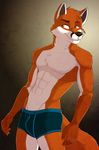  abs anthro biceps biting_lip black_nose boxers brown_eyes brown_fur bulge canine chest_tuft claws clothing fangs fcsimba fox fur hair male mammal muscles pecs pose solo standing teeth toned topless tuft underwear white_fur 