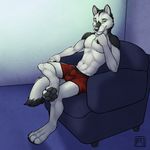  2014 abs anthro barefoot black_fur black_nose black_pawpads boxers bulge canine chair claws clothed clothing fur green_eyes grin half-dressed hindpaw looking_at_viewer male mammal muscles pawpads paws pecs pose raised_leg sitting smile solo toe_claws toned topless tsaiwolf underwear white_fur wolf 