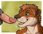  2014 anthro balls cum cum_in_mouth cum_inside duo ear_piercing erection facial_piercing fellatio fur gay hair mako male mammal mustelid nose_piercing nude open_mouth oral otter penis piercing sex smile tongue wingedwolf 