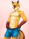  anthro black_nose boxer_briefs brown_eyes bulge canine clothing fur male mammal plain_background solo standing topless underwear vu06 white_background wolf yellow_fur 