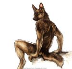  2014 alsatian anthro back black_nose brown_fur canine dog fur german_shepherd kenket looking_at_viewer looking_back male mammal nude plain_background rear_view sitting solo white_background 