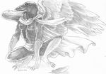  2014 avian bird black_feathers breasts cape female heather_bruton nude raven sketch solo wings 