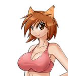  animal_ears big_breasts breasts brown_eyes brown_hair caribbean_blue cat feline female hair humanoid mammal mastergodai nchan nekonny plain_background solo white_background 