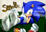  anthro blue_hair blush fur gloves green_eyes hair looking_at_viewer male sega shocked shoes shoppaaaa smelly socks solo sonic_(series) sonic_the_hedgehog speech_bubble text 
