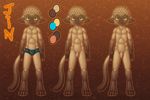  2014 anthro balls blue_eyes brown_fur cat chokodonkey clothing erection feline flaccid fur humanoid_penis jin looking_at_viewer male mammal nude penis solo standing uncut underwear 