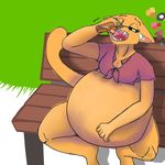  anthro belly bench big_belly cleavage clothed clothing cowszers eating eyelashes fangs feline female food high-angle_shot mammal open_mouth outside sandwich_(food) sitting solo stuffing tongue 