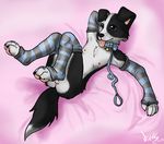  anthro anus arm_warmers balls bed bed_sheet border border_collie canine collar dog leash leg_warmers legwear male mammal on_bed paws solo tongue tongue_out young 