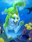  ambiguous_gender bubble canine dog feral fish husky mammal marine reef rhyu swimming underwater water wet 