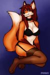  anthro breasts canine clothed clothing digital_media_(artwork) female fox hair heterochromia lingerie long_hair looking_at_viewer mammal porin skimpy solo 