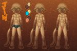  2014 animal_genitalia anthro balls barbs blue_eyes blush brown_fur cat chokodonkey clothing cub digitigrade erection feline feline_penis fully_sheathed fur hi_res jin looking_at_viewer male mammal model_sheet nude penis sheath solo underwear young 