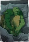  anthro bed biceps blanket brothers cum cumshot duo erection eyes_closed gay green_penis green_skin handjob holding humanoid_penis incest inside leonardo_(tmnt) licking lying male masturbation muscles nude on_back on_bed on_side open_mouth orgasm penis pillow pose raphael_(tmnt) reptile saliva scales scalie sibling slit sneefee teenage_mutant_ninja_turtles toned tongue tongue_out turtle 