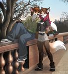  anthro brown_hair canine duo female fox green_eyes hair iskra long_hair male mammal 