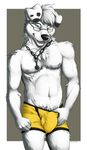 anthro bedroom_eyes boxers bulge canine chain chest_tuft clothed clothing dog eyewear floppy_ears front_view fur glasses hair half-dressed heterochromia looking_at_viewer male mammal naughty_face navel neck_tuft necklace nipples open_mouth seductive smile solo teasing toned topless truegrave9 tuft underwear vpl white_body white_fur 