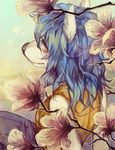  amber_eyes anthro blue_hair canine cherry_blossom female hair jotaku kemono long_hair mammal smile solo wolf 