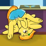  bedroom_eyes camel_toe clothing desk equine feathers female feral four_leaf_clover friendship_is_magic fur hair hi_res hooves ivorylace looking_at_viewer mammal my_little_pony navel orange_eyes orange_hair pegasus presenting smile solo spitfire_(mlp) two_tone_hair upside_down wings wonderbolts_(mlp) yellow_fur 