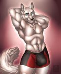  abs anthro arms_behind_head biceps black_nose blue_eyes boxers bulge canine chest_tuft clothing fangs flexing fur grey_fur grin looking_at_viewer male mammal muscles navel pecs pose smile solo standing teeth toned topless tuft underwear vallhund white_fur wolf 