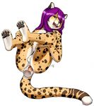  2014 akimoriaoi anal anal_masturbation anus aogami balls cat cheetah dildo feline girly hair loki looking_at_viewer male mammal masturbation nude open_mouth paws penis plain_background purple_hair reizo sex_toy soles solo spots toes white_background young 