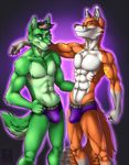  2014 abs anthro biceps black_hair black_nose blue_eyes briefs brown_fur bulge canine claws clothing duo fox fur green_eyes green_fur grey_fur grin hair looking_at_viewer male mammal muscles navel pecs pose smile standing tattoo toned topless underwear vallhund white_fur wolf zavryn 