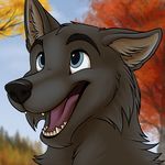  2014 ambiguous_gender anthro autumn black_fur black_nose blue_eyes canine cute fur happy icon mammal open_mouth outside smile solo star-gazer tongue tree wolf 