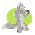  anthro balls big_tail canine flaccid flexing fox fur gloves green_eyes grey_fur hair male mammal muscles nude penis plain_background short_hair simple_background solo spearfrost uncut velus white_hair 