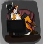  anthro ash_harden black_fur black_hair canine collar cuddling fox fur gay hair hybrid love_seat male mammal nanabi_ashiro paws skunk television wolf 