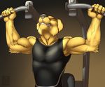  2014 abs anthro armpit_hair armpits biceps black_nose bodybuilding canine clenched_teeth clothing dog exercise eyes_closed fangs fur gym male mammal muscles pecs pose sharp_teeth shirt sitting solo tank_top teeth tight_clothing toned vallhund vein yellow_fur 