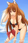 :d adjusting_hair animal_ears bangs bent_over bikini breasts brown_hair cleavage cloud day fang holo large_breasts long_hair looking_at_viewer open_mouth outdoors red_eyes red_rope rope shuugetsu_karasu sideboob sky smile solo spice_and_wolf standing swimsuit tail thigh_strap very_long_hair wading water wolf_ears wolf_girl wolf_tail 