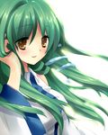  detached_sleeves green_hair hair_ornament kochiya_sanae long_hair snake solo tokira_nozumi touhou yellow_eyes 