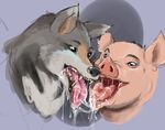  ambiguous_gender black_lips canine fangs feral feral_on_feral french_kissing interspecies kissing long_tongue mammal open_mouth pig porcine saliva slobber tongue ungulatr wolf 