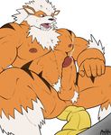  abs anal anal_insertion anal_masturbation anal_penetration anthro arcanine balls biceps canine chest_tuft crouching cum cum_while_penetrated cumshot dildo erection fur hands-free humanoid_penis insertion maldu male mammal masturbation muscles nintendo nude open_mouth orgasm pecs penetration penis pok&eacute;mon precum pubes sex_toy solo sweat tongue tuft video_games 