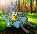  anthro aogami cub duo eyes_closed fellatio lucario male nintendo oral outside penis pok&eacute;mon red_eyes riolu sex video_games young 