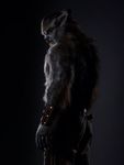  anthro big_muscles bigger_version_at_the_source canine claws clothing costume dark_skin fur makeup male mammal movie muscles pants photo pose solo teeth unknown_artist vein were werewolf wolf wolfman 