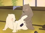  2014 animal_genitalia balls bear blush brown_hair cum cum_on_penis duo erection feral feral_on_feral fur gay grizzly_(shirokuma_cafe) grizzly_bear hair mabit male mammal nude open_mouth orgasm penetration penis polar_bear sex shirokuma shirokuma_cafe 