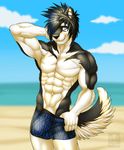  abs anthro arm_behind_head beach biceps black_fur black_hair black_nose blue_eyes blue_hair bulge canine clothed clothing dog fangs fur grin hair half-dressed husky male mammal muscles outside pecs pose sand sea seaside shorts smile solo standing swimsuit teeth toned topless vallhund water white_fur 